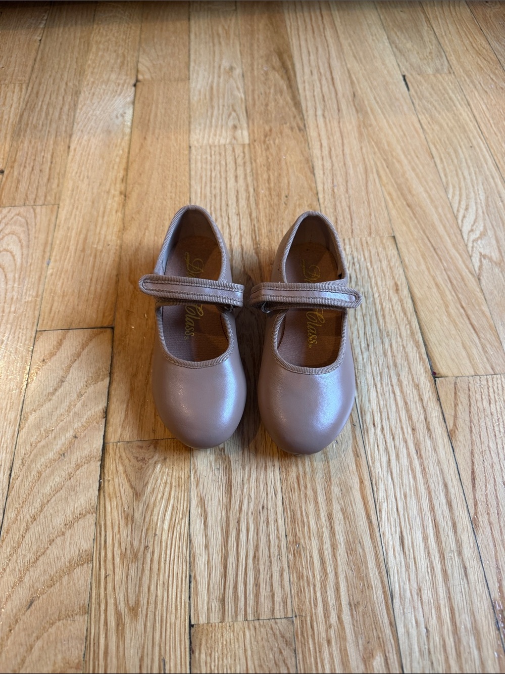 Dance Class Mauve/Pink Mary Jane Dress Shoes for Kids